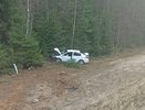 В Костромской области иномарка слетела с трассы: пострадали два человека