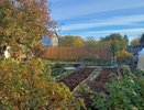 Больше не поливаю томаты: под каждым кустом ставлю перевернутую бутылку - лучше не придумаешь для ленивого огородника
