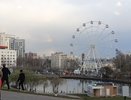 Аномальные заморозки обрушатся на Центральную Россию в конце апреля: синоптики назвали точную дату