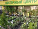 Костромичка отсудила у Центрального рынка 300 тысяч рублей за засохшие деревья