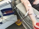 В Костроме доноры могут спасти беременных женщин