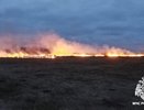 В Костромской области разыскивают поджигателей травы