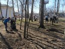Костромичей приглашают на Всероссийский субботник