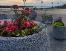 Кострому украсят цветочными композициями в честь 80-летия Победы