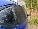 Костромскую область ждут заморозки и сильный ветер