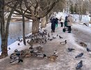 Экстрасенс назвал имена людей с самыми сильными ангелами-хранителями: они под мощной защитой