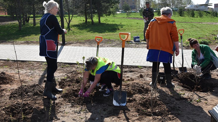 Главная картинка новости: В Костроме стартовало весеннее озеленение территорий
