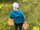 Ученые назвали самый полезный гриб: не шампиньоны, не вешенки и в два раза полезнее лисичек