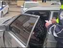 С 5 мая выехавшим за город на авто будут аннулировать права: водителей ждет новый сюрприз