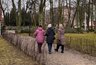 Миниатюра новости: К 80-летию Победы: ветеранам и инвалидам назначили дополнительные выплаты