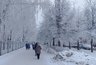 Миниатюра новости: Россиян ждет самый холодный май за 140 лет: ученые обнародовали прогноз погоды на месяц