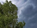 Метеорологи предупреждают о грозе и шквалистом ветре в Костромской области