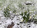 Лето не придет совсем? Синоптики опубликовали прогноз на 3 месяца: погода не перестанет удивлять