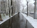 Что ждет наши огороды после майских снегопадов и заморозков: выживет ли урожай