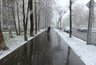 Миниатюра новости: Что ждет наши огороды после майских снегопадов и заморозков: выживет ли урожай