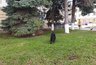 Миниатюра новости: В Костромской области снимут кино по мотивам известной сказки