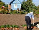 Уничтожаем все сорняки на участке одним простым средством: больше не надо гнуть спину на жаре