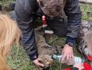 В Костроме из горящего дома огнеборцы спасли несколько кошек