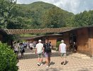 Не Анапа и не Сочи: у россиян стал популярным недорогой курорт в 300 км от Краснодара