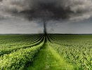 Синоптики предупреждают россиян: торнадо станут нормой этим летом