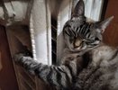 Оранжевый уровень опасности: костромичей готовят к майским заморозкам