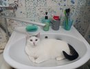 С 12 мая полностью запретят эти раковины и краны: их придется менять