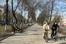 Миниатюра новости: Не способны на любовь совсем: этот единственный знак зодиака никогда не влюбляется