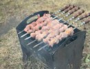Жарить шашлыки на дачах теперь запрещено: всех нарушителей ждет штраф до 50 000 рублей