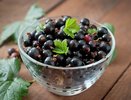 Сыплю по 3 ложки под куст, когда просыпаются почки: смородина порадует сладкими ягодами размером с пятачок