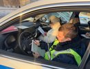 В ГАИ наконец поставили жирную точку: вот до какого возраста старикам можно водить машину