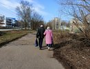 В Костромской области объявлено метеопредупреждение из-за заморозков