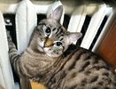 В Костроме до 15 мая продлили отопительный сезон