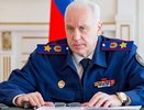 Делом о вырубке 20 гектаров соснового леса в Костроме заинтересовался главный следователь страны