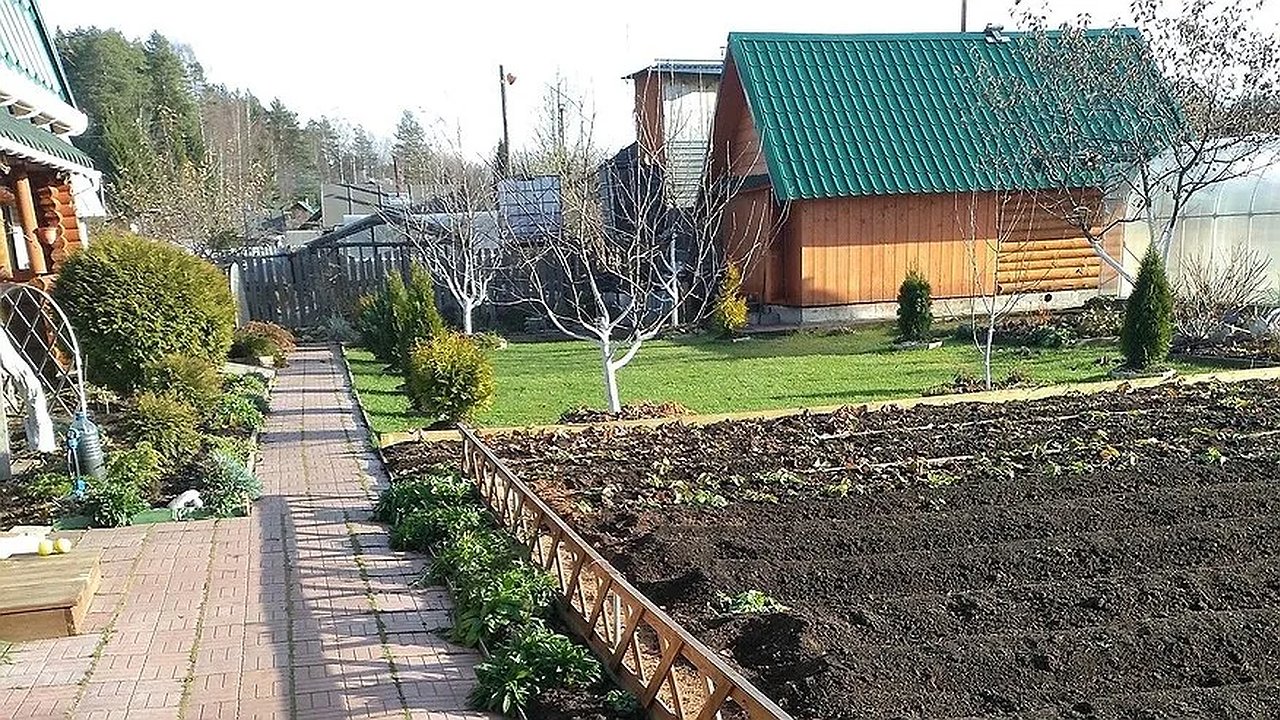 Главная картинка новости: С 1 июня полностью будет запрещена установка заборов на даче: придется убрать