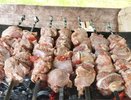 С 1 июня шашлыки на дачах жарить будет запрещено: всех нарушителей ждет штраф до 50 000 рублей