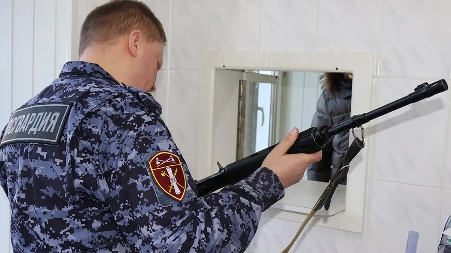 Главная картинка новости: ИЖ-5 и 15 патронов: костромичка сдала в Росгвардию дедушкино наследство