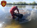 Роликовые коньки, старые покрышки: водолазы очистили дно реки Костромы в районе городского пляжа