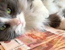 С 22 мая мая Центробанк заберет 5-тысячные купюры, которые есть у россиян: неприятный сюрприз