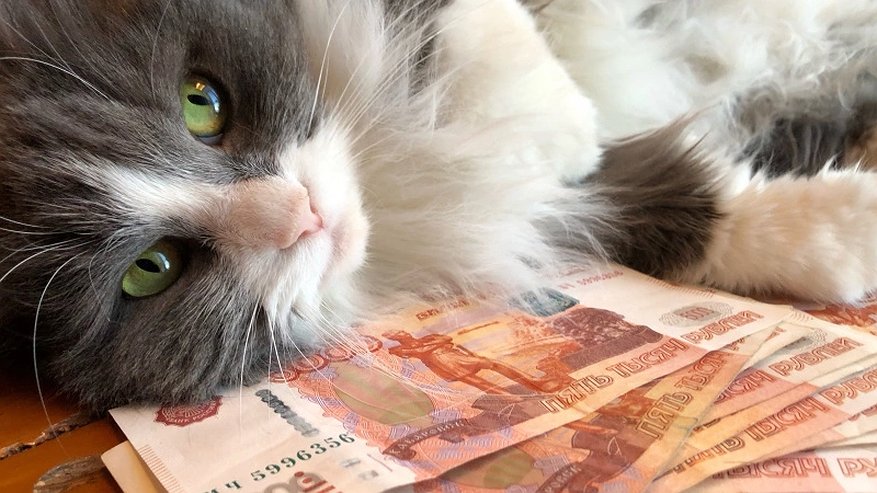 Главная картинка новости: С 22 мая мая Центробанк заберет 5-тысячные купюры, которые есть у россиян: неприятный сюрприз