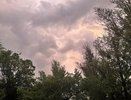 В Костроме ожидаются гроза, ливень и ураганный ветер