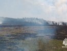 В Костромском районе произошел крупный пожар из-за пала сухой травы