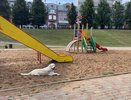 Администрация Боговарово выплатит несовершеннолетней компенсацию после укуса бездомной собаки