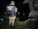 Житель Нерехты из-за денег утопил рыбака в реке