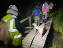 В Галичском районе разыскивают пропавшего 69-летнего жителя