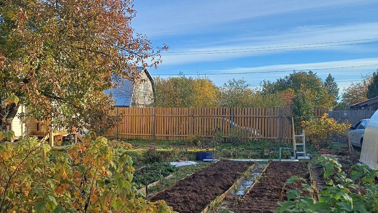 Главная картинка новости: С 25 мая полностью будет запрещена установка заборов на даче: придется убрать