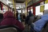 Миниатюра новости: Пенсионерам теперь не придется платить за транспорт, лекарство и ЖКХ: заявления принимают с 26 мая