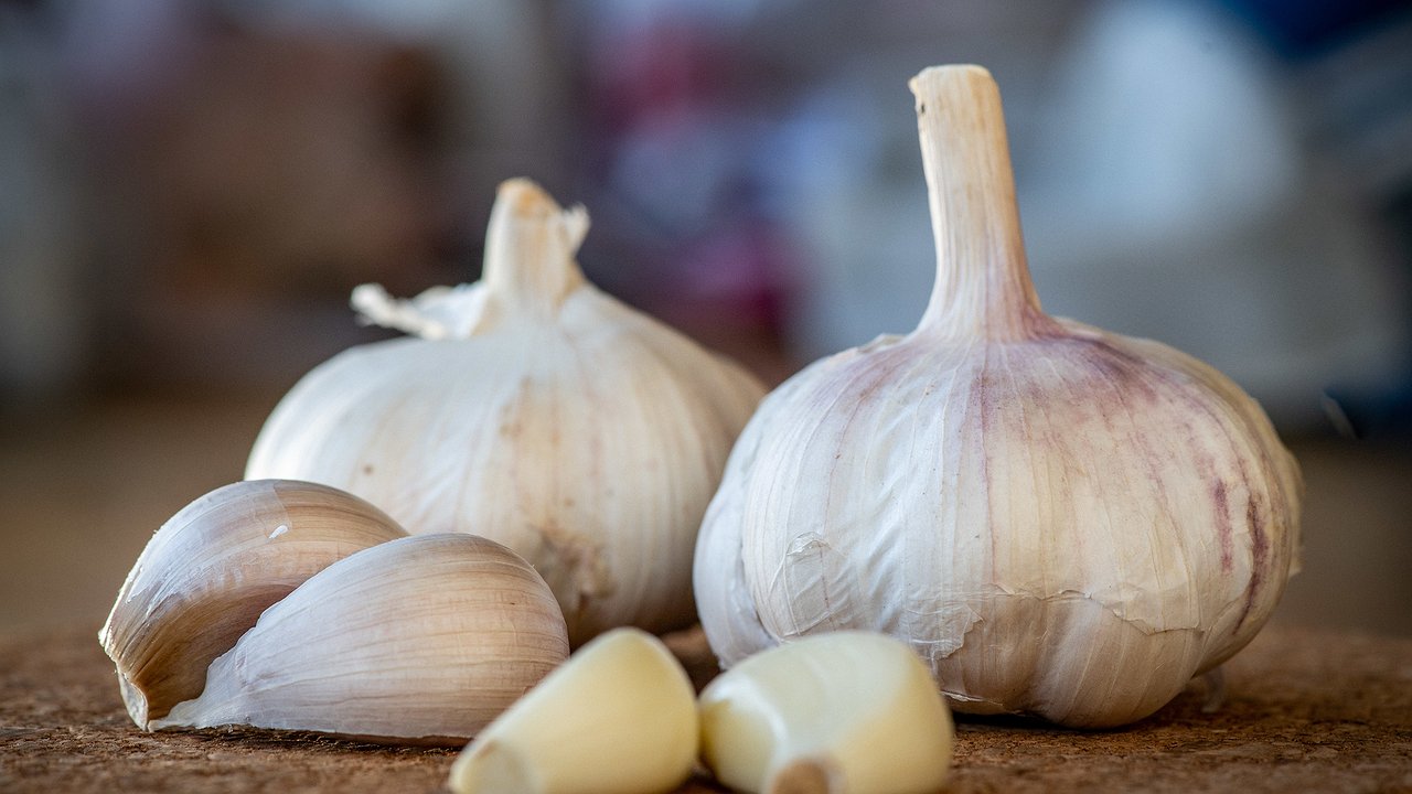 Главная картинка новости: Чтобы стебель у чеснока рос вширь, а головки были с 2 кулака - поливаю такой подкормкой в конце мая и начале июня