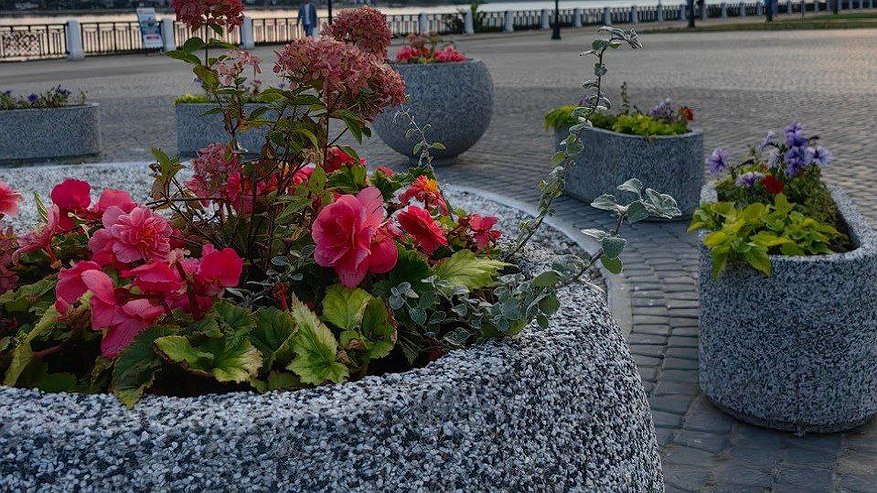 Главная картинка новости: Известно, какой городской объект в Костроме лидирует в голосовании по благоустройству