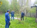 В Костромской области у частного дома соседка нашла замотанное в ковер тело женщины