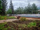 В Костроме приступили к благоустройству сквера у кукольного театра
